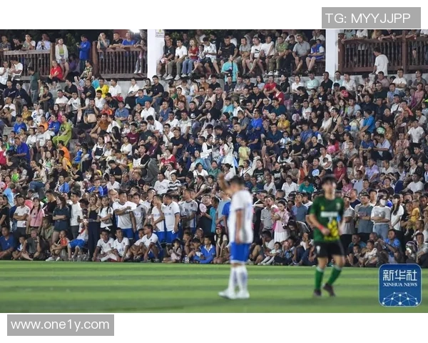 足球队巴士大战背后的故事与冲突揭秘球迷热情与球队荣耀的交锋