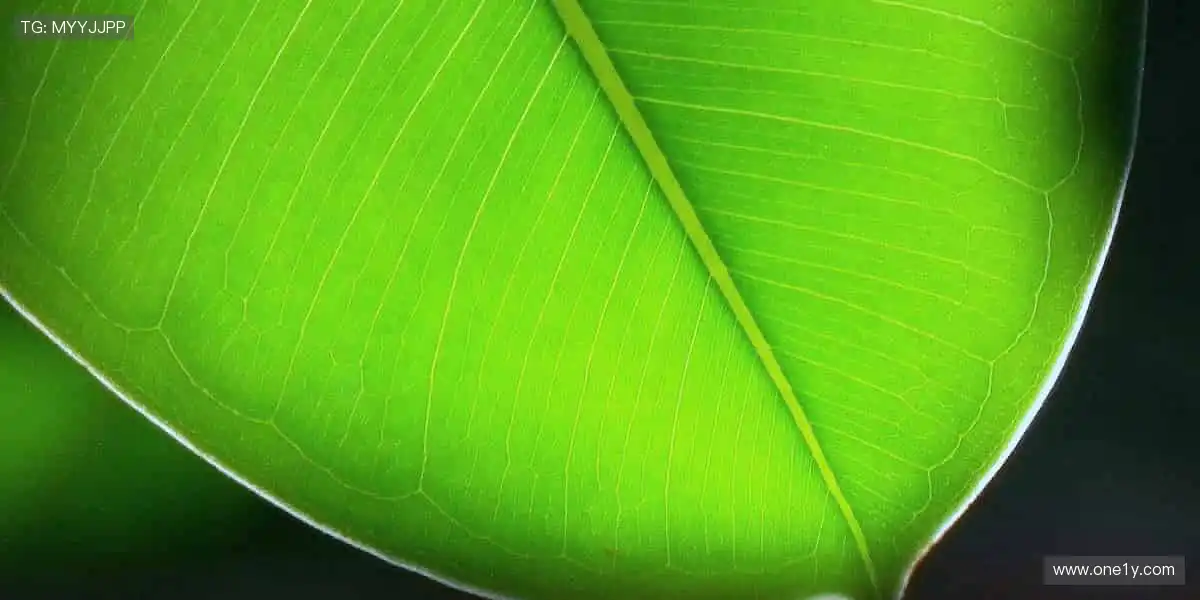 ⚽赛事预告，提前锁定你的热爱！📅